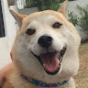 Meet your Posher, Diego